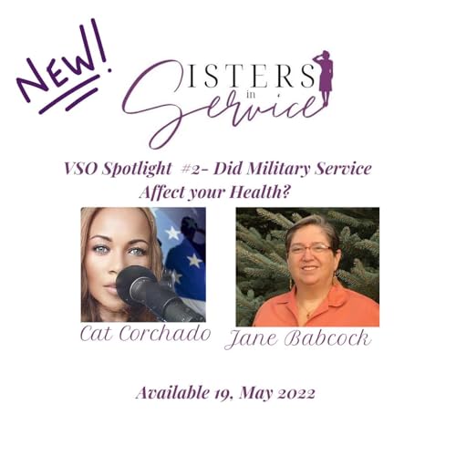 VSO Spotlight #2 - Featuring Jane Babcock - Newly added VA Health Benefits