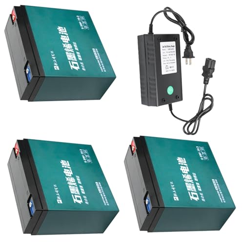 3pcs 12V 20Ah 6-DMF-20 Sealed Lead Acid Battery 6-DZF-20 6-DZM-20 + 72V Batteries Charge for Electric Motorcycle Scooter Go Kart ATV UTV Quad Buggy Dirt Pit Bike Taotao Coolster Sunl CRF XR KLX TTR