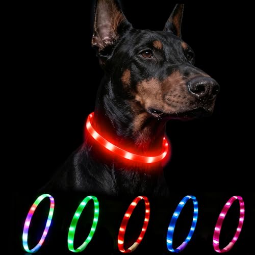 Nepfaivy Leuchthalsband Hund USB Aufladbar - Wasserdichtes Hundehalsband Leuchtend mit Verstellbarer Länge, LED Halsband für Hunde mit 4 Beleuchtungsmodi für Sicherheit, Rot