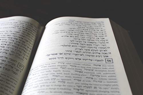 A Reader's Hebrew and Greek Bible: Second Edition - Image 4