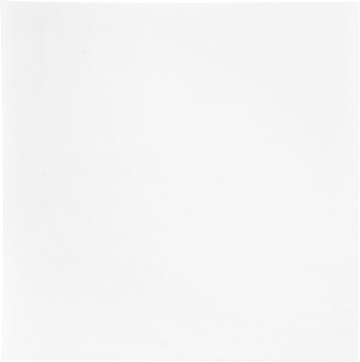 From Plain To Beautiful In Hours SE-24x24-GW Smooth Economy Lay-in Ceiling Tile, Pack of 10, Gloss White, 10 Sq Ft