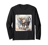 Horse-Drawn Carriage Transport