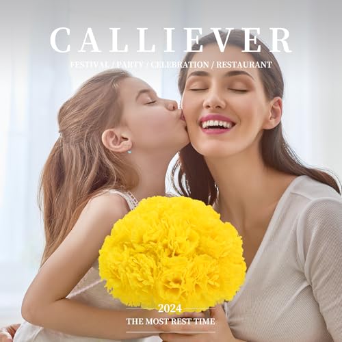 Dh Eyb Silk Carnation Flower thumb #6