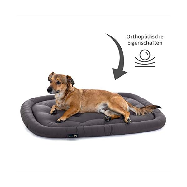 Pointer | Orthopädisches Hundekissen Mittelgroße Hunde, 90x60 cm - Hundebett Waschbar bis 95°C, Geruchsfrei, Robust, Indoor & Outdoor, Made in Germany (L - 90x60 cm, Anthrazit) – Bild 5