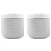 OPOLAR EV01 Replacement Wicks, Replacement Filter ONLY - 2 Pack