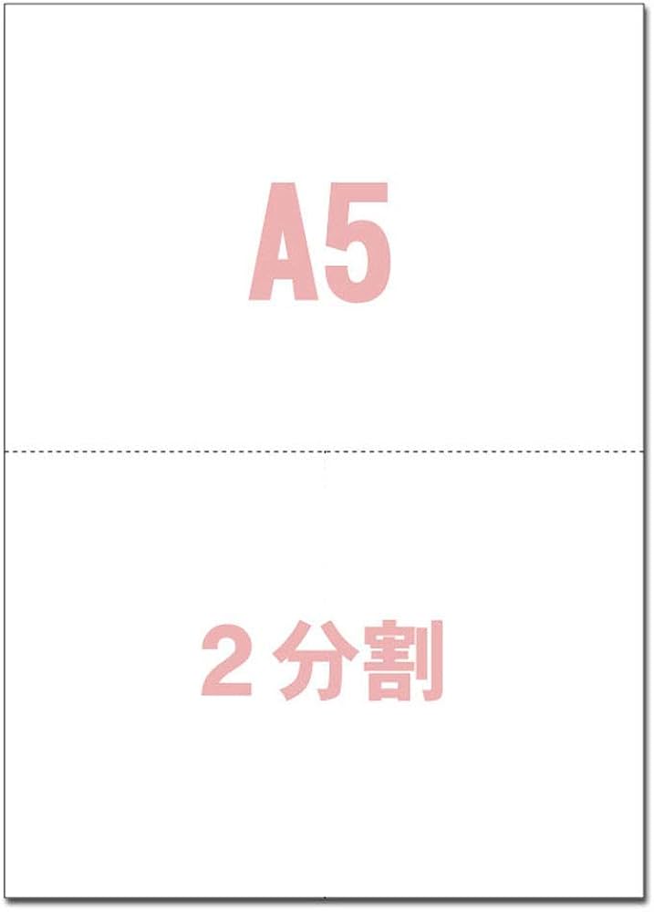 Amazon | A5サイズ 2分割 マイクロミシン目入りPPC用紙 (100枚