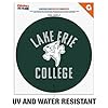 Lake Erie College Storm Logo Automotive Car Window Locker Circle Bumper Sticker #1