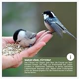 wildtier liebe Körner Futtersäule, Vogelfutterspender 26cm, Grün - aus rostfreiem Metall I Vogel-Futterstation, Vogelfutter-Säule, Wildvögel Futtersilo I Ganzjährige Vogelfütterung