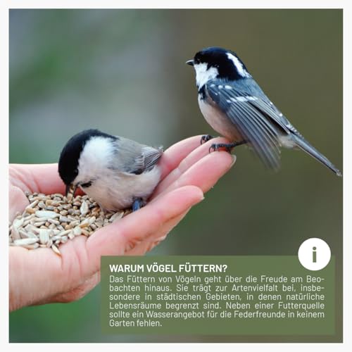 wildtier-liebe-Korner-Futtersaule-Vogelfutterspender-235cm-Grun-aus-rostfreiem-Metall-I-Vogel-Futterstation-Vogelfutter-Saule-Wildvogel-Futtersilo-I-Ganzjahrige-Vogelfutterung | Dealmeister.io Alt tag für bilder post titel