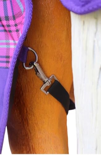 Image of CHALLENGER 1200D Foal Winter Blanket Miniature Pony Donkey Bellyband Turquoise Rustic
