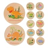 WEKAMOS 24個恐竜記憶マッチングゲーム 木製動物マッチングゲーム 幼児教育知育玩具 集中力トレーニング お子様向け 早期学習用