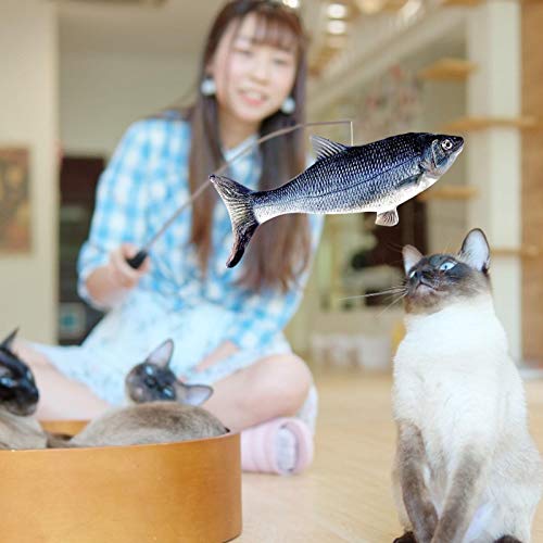guangtouqiang 2 peças de brinquedo elétrico para gatos de peixe, brinquedo para gatinho, almofada in