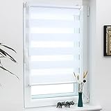 Grandekor Doppelrollo Klemmfix ohne Bohren 80x110(BxH) Weiß, Lichtdurchlässig und Verdunkelnd Duo Rollo Fensterrollo Klemmrollos für Fenster ohne Bohren, Seitenzugrollo Sonnenschutz Rollo
