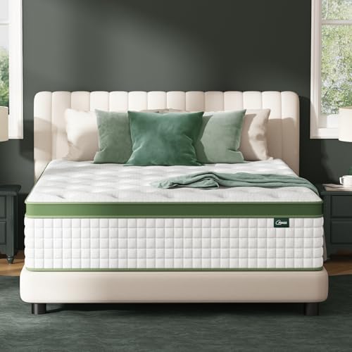 Queen Mattress, 6-Inch Luxury Hybrid Mattress, Fiberglass-Free Mattress in a Box with Gel-Infused Memory Foam, Individual Pocket Spring for Motion Isolation-Edge Support,CertiPUR-US,10-Year Warranty