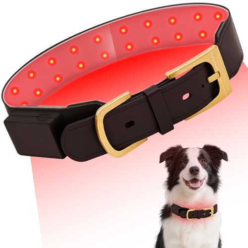 Red Light Therapy Collar for Dog