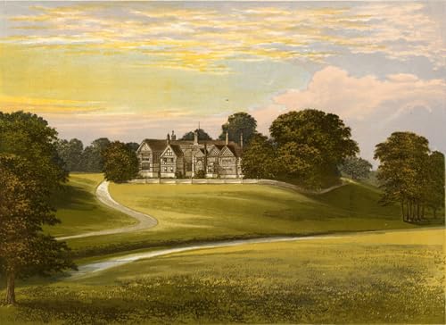 Affiche impression d'art tableau salle Bramhall Alexander Lydon toile 60x90cm