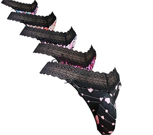 aishani Pouch Panties Men's Lace Thong Bikini Briefs Hipster Underpants V