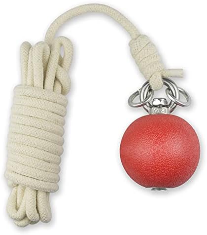 PHYSKOW Rubber Meteor Hammer for Beginners Exercise Ball Chinese Kungfu Traditional Martial Arts Soft Equipment (Rubber Meteor Hammer)