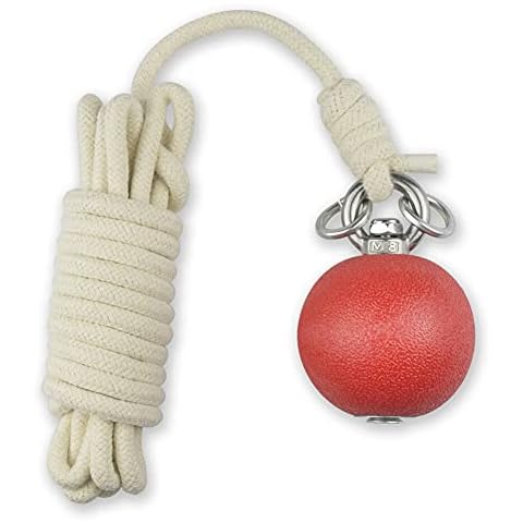 PHYSKOW Rubber Meteor Hammer for Beginners Exercise Ball Chinese Kungfu Traditional Martial Arts Soft Equipment (Rubber Meteor Hammer) Cover