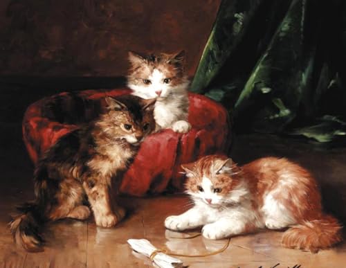 Pintura por números de gatitos DTAUPREB lienzo de óleo DIY para tardes de relax