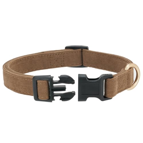 Collar para perros pequeño de pana marrón, talla S miniatura 2