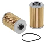 Fuel Filter 248143 276217514 Fits for Lombardini L27 L54 LDA672 LDA673 LDA832 LDA834; Hatz 1D81