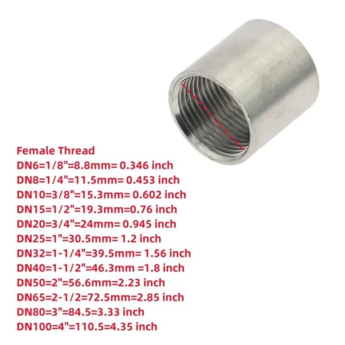 Conector de gas de agua SS304 BSP con unión hembra para tuberías 6