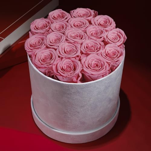 17 Flowers in a Luxury Suede Box, Birthday Gifts for Women, Preserved Flowers, Mothers Day Roses Gift for Mom, Light Pink