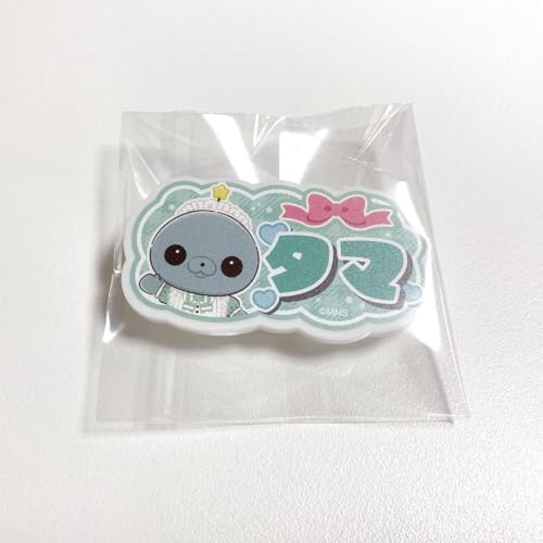 教育番組 タマセット はかせセット 特典付き 教育番組 タマセット