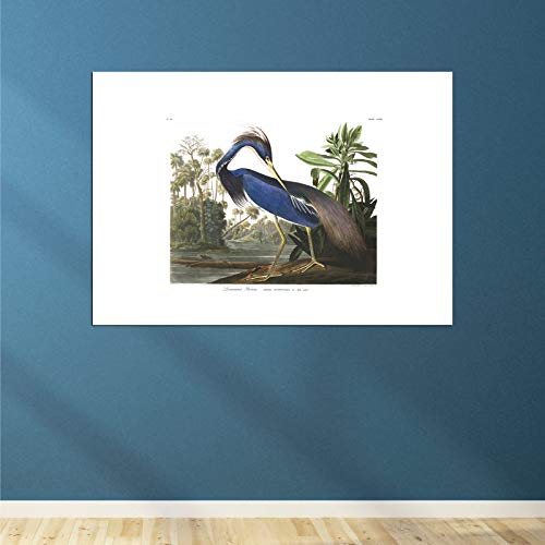 Héron de Louisiane - Impression Archival Matte d'Art avec Cadre Spiffing Prints - 4