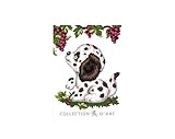 Photo Gallery collection dart 3195 canovaccio design 14 x 18 cm, colore: bianco, taglia unica Photo Gallery collection dart 3195 canovaccio design 14 x 18 cm, colore: bianco, taglia unica