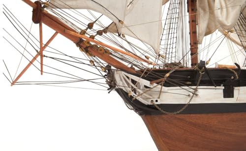 Occre 12005 HMS Beagle Detailliertes Modellier-Set, Braun