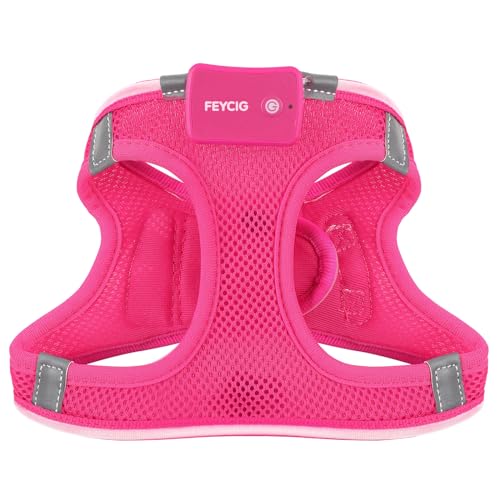 Feycig Leuchtend Hundegeschirr LED Aufladbar - Leuchtgeschirr Leuchtendes & Reflektierendes für Welpe Klein Mittlere Hund, Brustgeschirr Hundegeschirr, Atmungsaktiv Leucht Geschirr (Pink, X-Small)