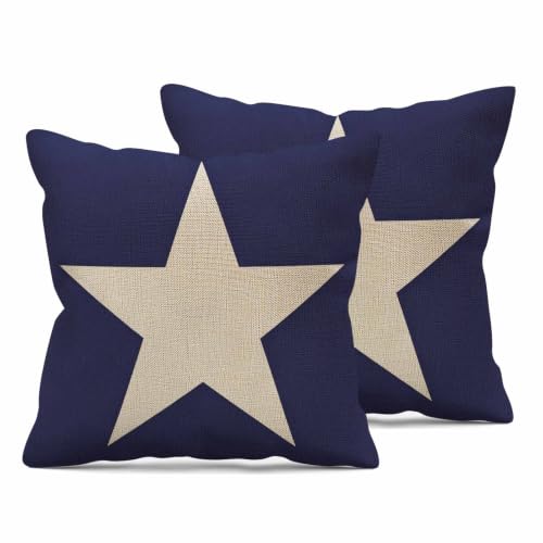 AININYY Minimalist Lone White Star 18 X 18 Pillow Covers Navy Dark Blue Throw Pillow Covers Decorative for Sofa Couch Living Room Soft Home Decor,Square Velvet,Set of 2 Outdoor Cushion Pillowcases