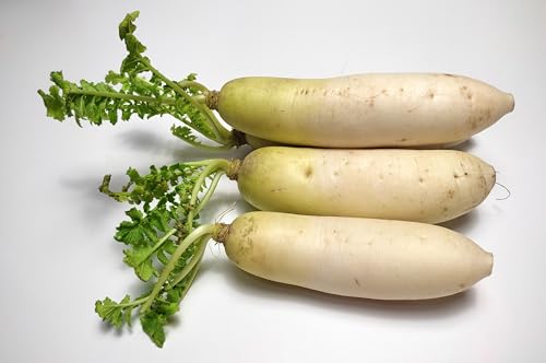 Rawjoy Fresh White Radish By Rawjoy Farms thumb #1