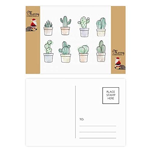 Lot de 20 cartes postales cactus en pot de qualité supérieure pour amateurs d'art