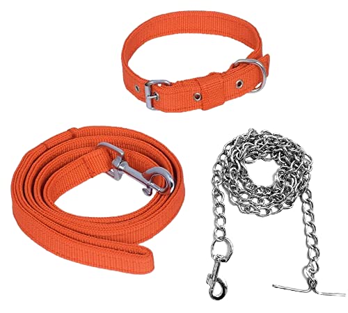 Quickato Orange Belt/Puppy Collar Belt Dog Collar & Leash Steel Chain Dog Collar & Chain (Medium, Orange) (B09XMTXD1L) Amazon Price History, Amazon Price Tracker