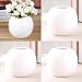 Set of 4 Vases Ceramic Plants Succulent Planter Pots Mini Decorative Bud Vase Garden Home Accent Gloss Colored Various 7 Colors (Set of 4 White)