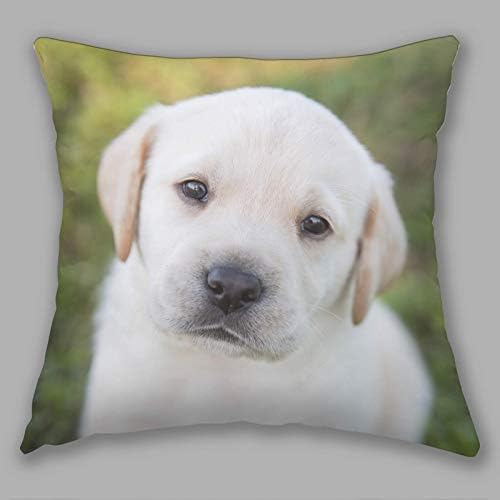 Fab Gifts Personalised Cushion Photo 100% Polyester Pillow Free Filling Edge to Edge Photo Printed Pillow DOUBLE SIDED (36cm x 36cm)
