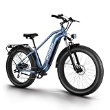 Wooken Gale Electric Bike for Adults, 26