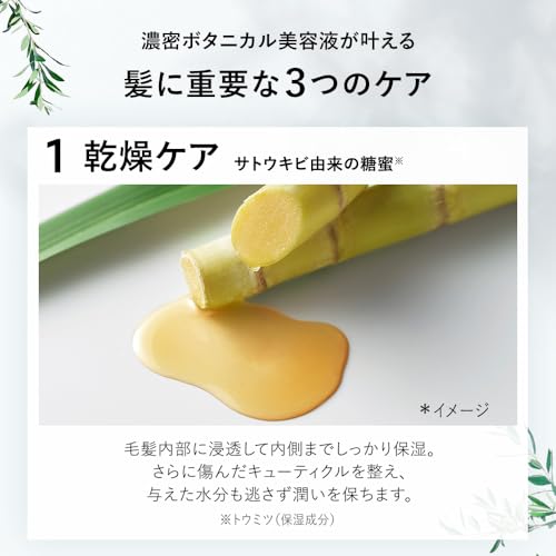 Amazon.co.jp: ボタニスト公式ショップ: セット