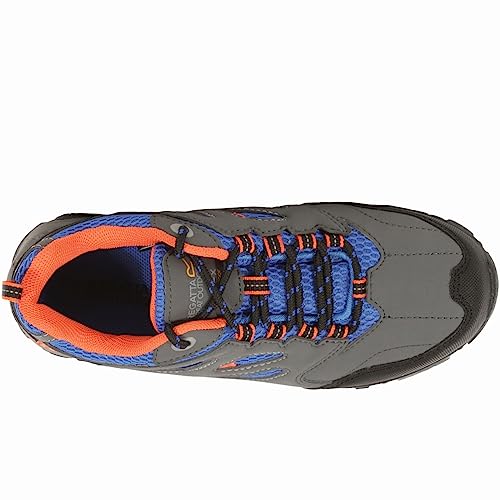 Holcombe Iep Low EU 324