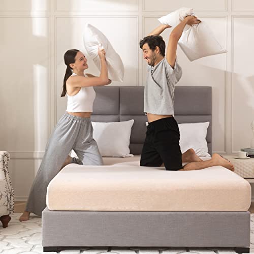 Aikoful Luxury Goose Feathers Down Pillow Queen Size, Hotel Quality Fluffy Bed Pillow thumb #6