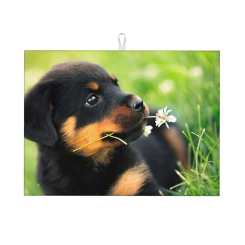 ؂}bg唻   킢 q bgC[ q hJr H Lb`}b낭܃JtF z}bg ~ߋzpbh _炩hCO}bg 􂦂 R L  ϖ fM ȒP 䏊 ~ g