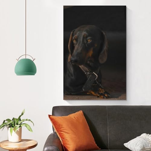 Poster chien teckel 21 impression toile déco murale 40x60cm