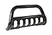 Dee Zee 16.8103R 501519 Black Steel Bull Bar