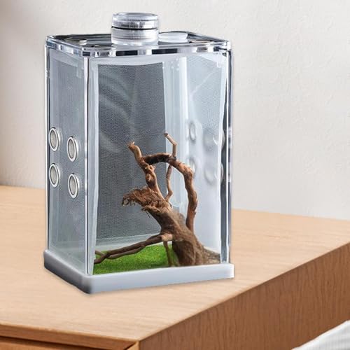 Boîte d'éclosion reptiles transparente avec récipient d'alimentation - 5