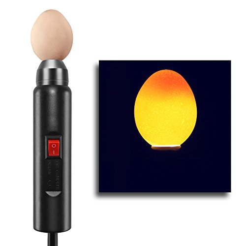 Flexzion Egg Candler Tester - High-Intensity Cool Spectrum LED Candling Light for Chicken Eggs, Dark Quail Duck Canary Eggs, Egg Light Fertility Egg Viewer with 2 Lampshades & Power Adapter