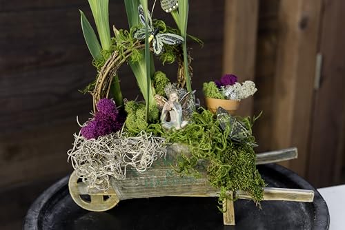 SuperMoss (23310) Moss Mix Preserved, 2oz (110 Cubic Inch)