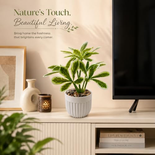 Image of CURATED CART Artificial Plant with Pot for Living Room, Home Decor, Office Tabletop & Indoor Decor, Fake Small Plant, Green Leaves Potted Plant, 24cm, Pack of 1
